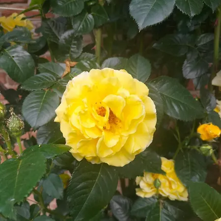 Le Aromatiche, In Cascina Con Giardino Holiday home Castagnito