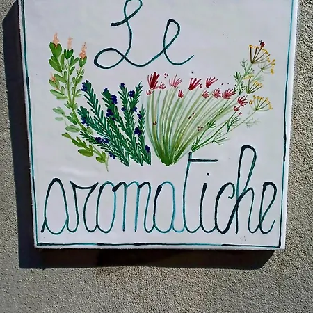 Casa de Férias Le Aromatiche, In Cascina Con Giardino Castagnito