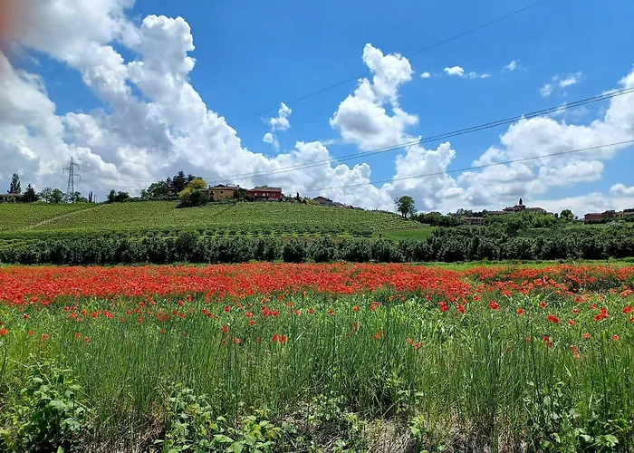 Le Aromatiche, In Cascina Con Giardino Feriehus